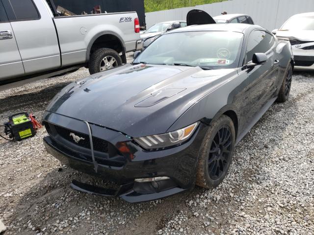 Photo 1 VIN: 1FA6P8CF7F5305517 - FORD MUSTANG GT 