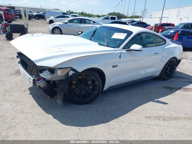 Photo 1 VIN: 1FA6P8CF7F5423406 - FORD MUSTANG 