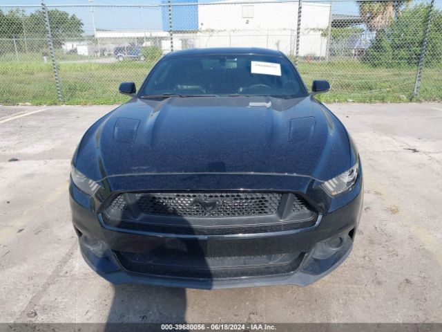 Photo 5 VIN: 1FA6P8CF7G5205290 - FORD MUSTANG 