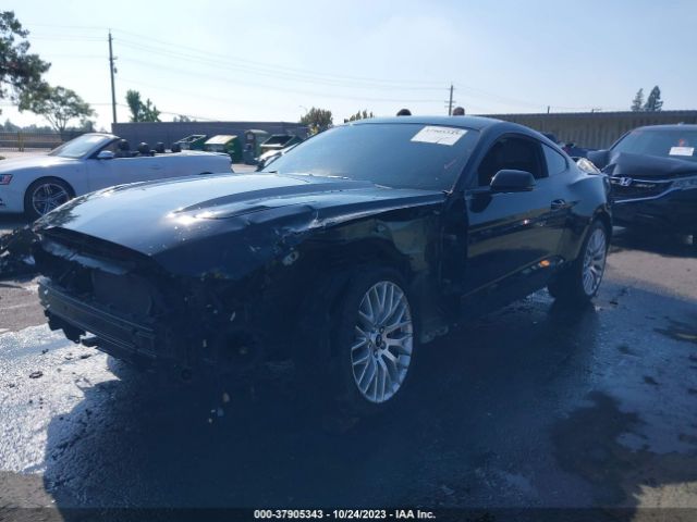 Photo 1 VIN: 1FA6P8CF7H5250456 - FORD MUSTANG 