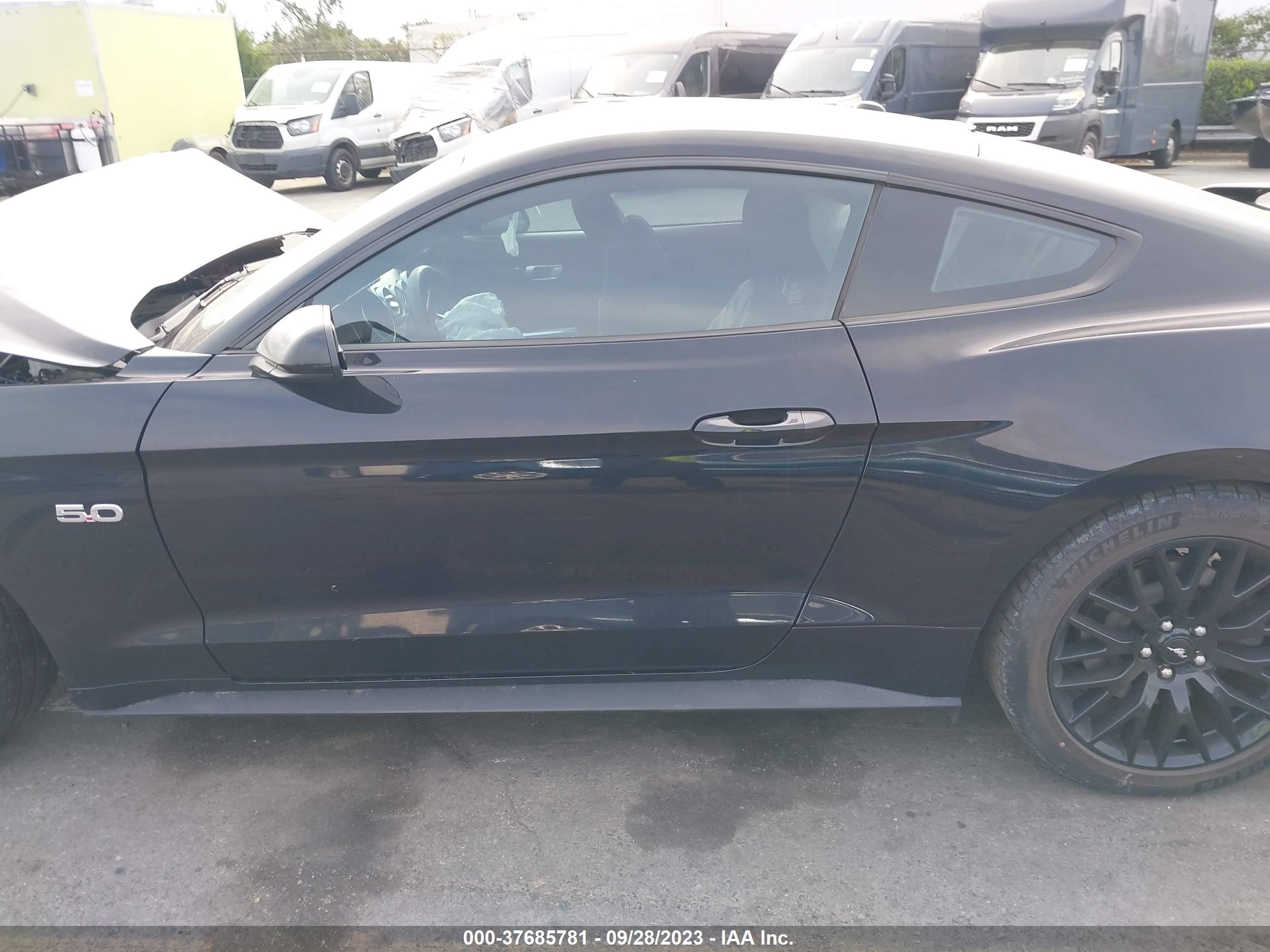 Photo 13 VIN: 1FA6P8CF7K5146864 - FORD MUSTANG 