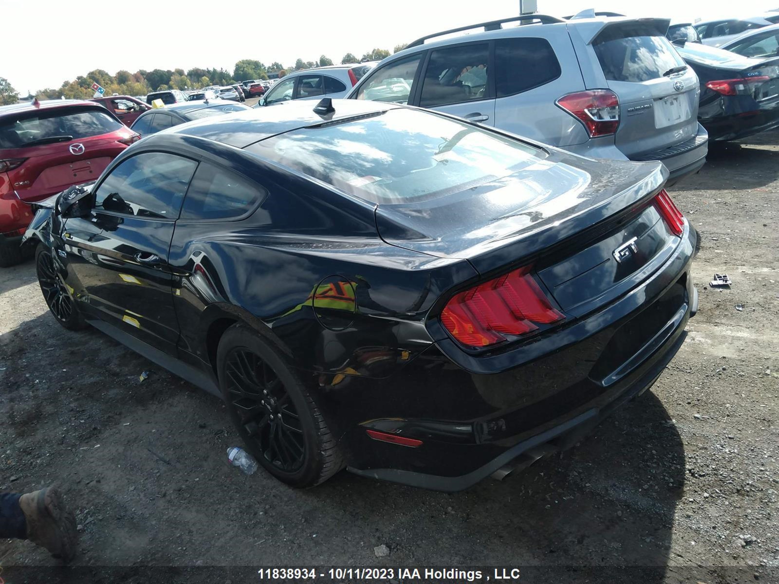 Photo 2 VIN: 1FA6P8CF7N5142334 - FORD MUSTANG 