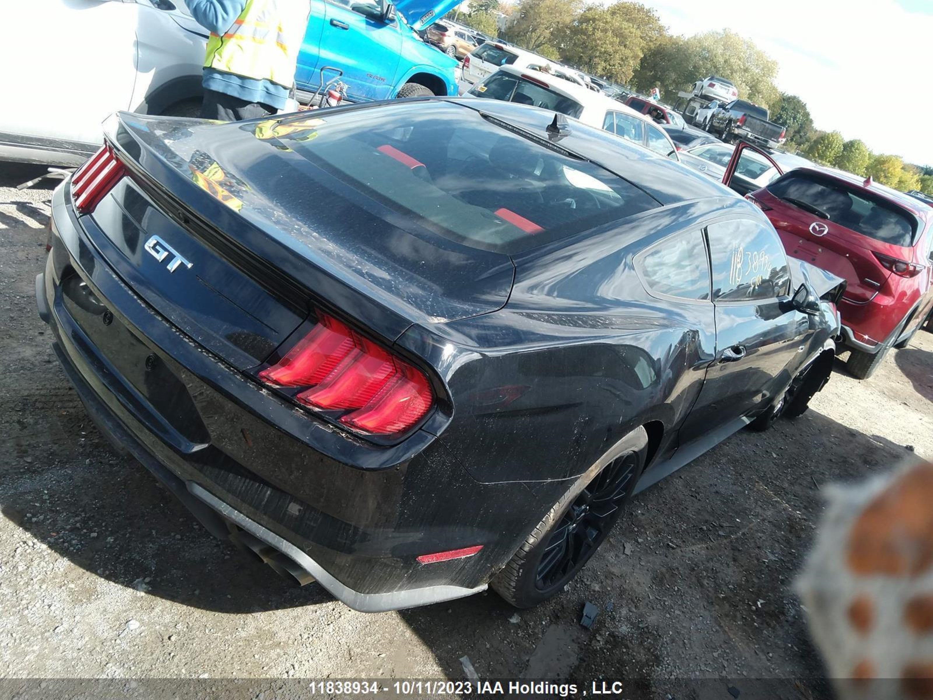 Photo 3 VIN: 1FA6P8CF7N5142334 - FORD MUSTANG 