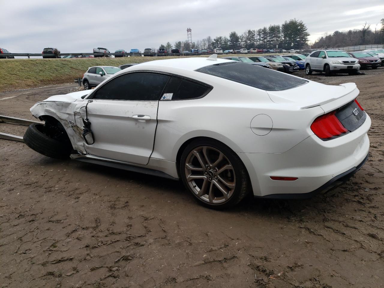 Photo 1 VIN: 1FA6P8CF7N5148117 - FORD MUSTANG 