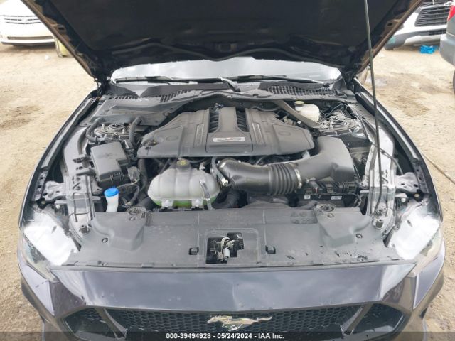 Photo 9 VIN: 1FA6P8CF7P5305826 - FORD MUSTANG 