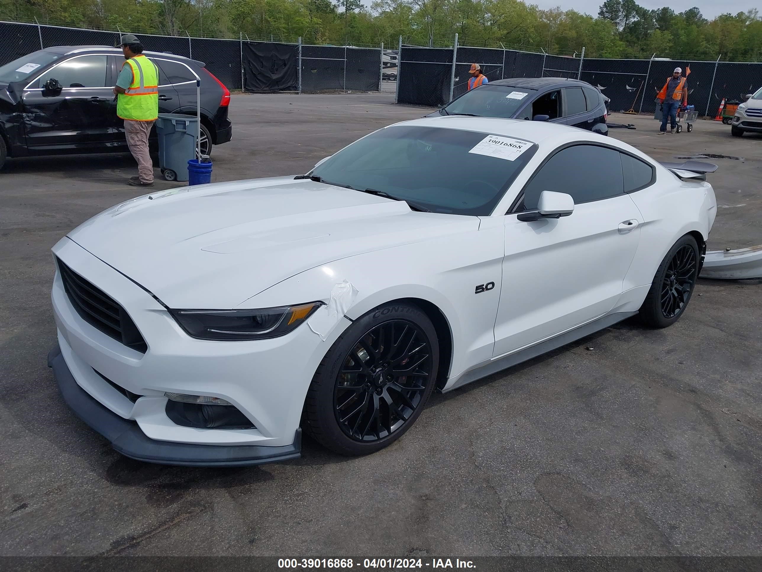 Photo 1 VIN: 1FA6P8CF8H5280615 - FORD MUSTANG 