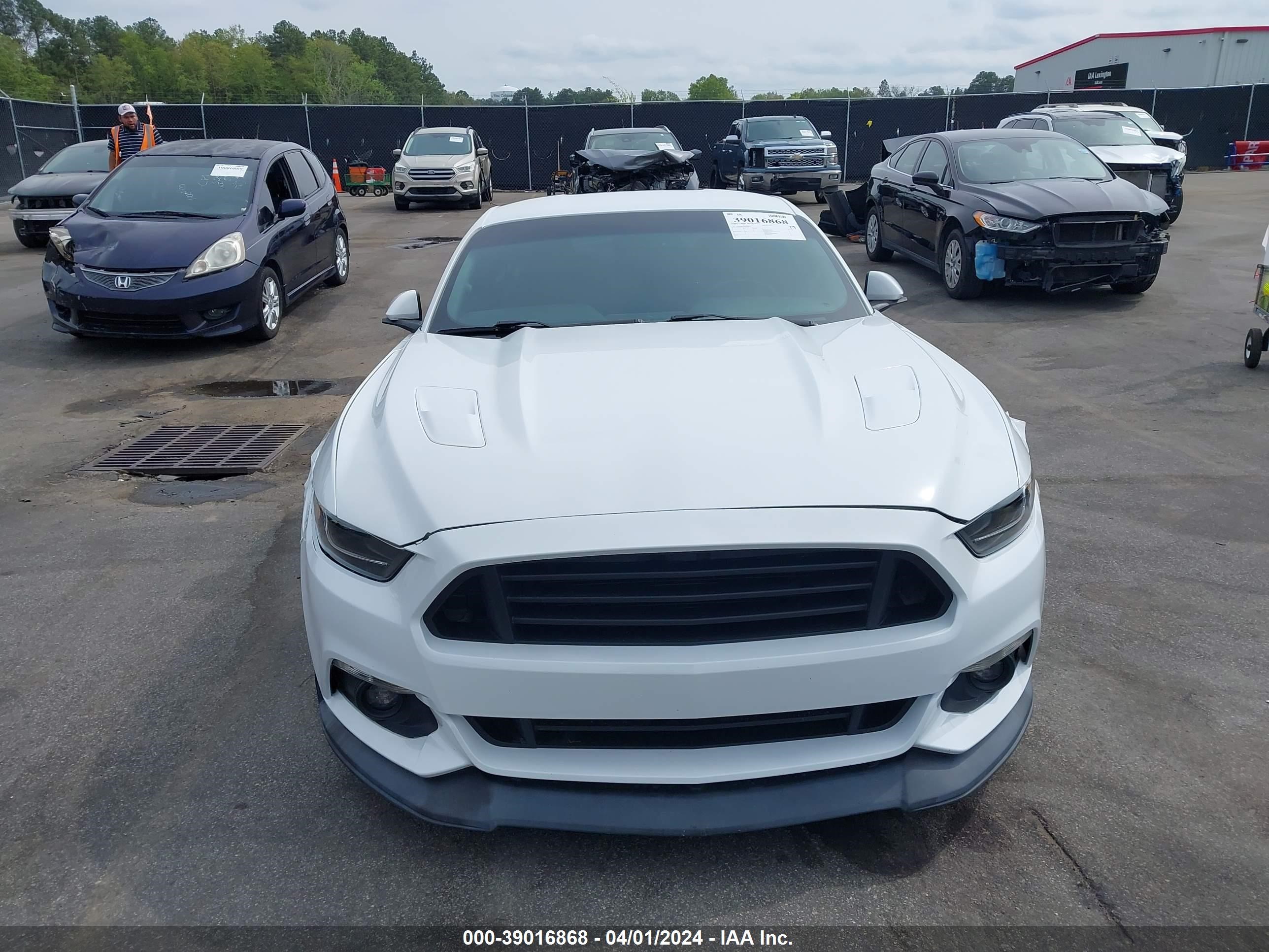 Photo 12 VIN: 1FA6P8CF8H5280615 - FORD MUSTANG 