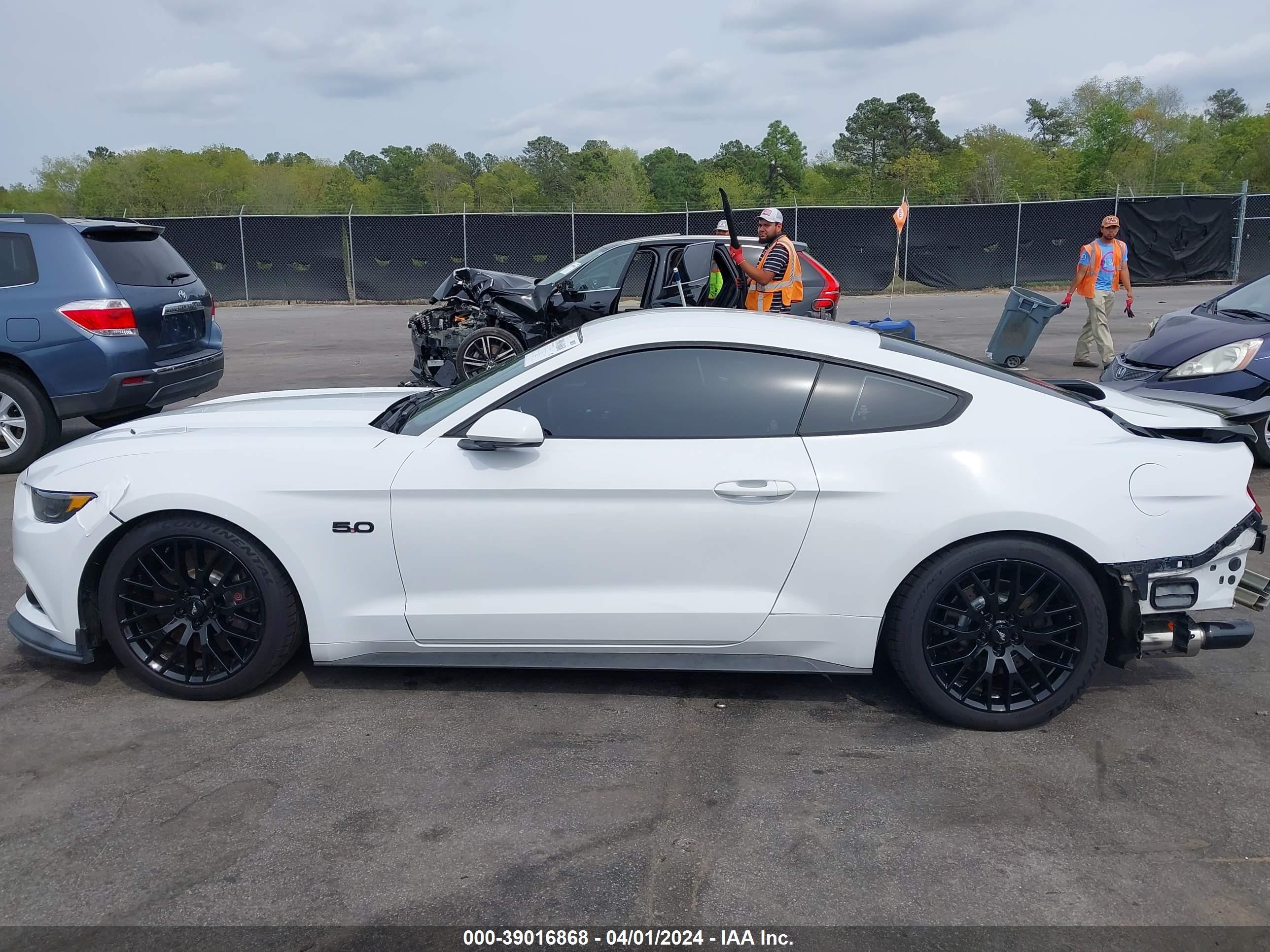 Photo 14 VIN: 1FA6P8CF8H5280615 - FORD MUSTANG 