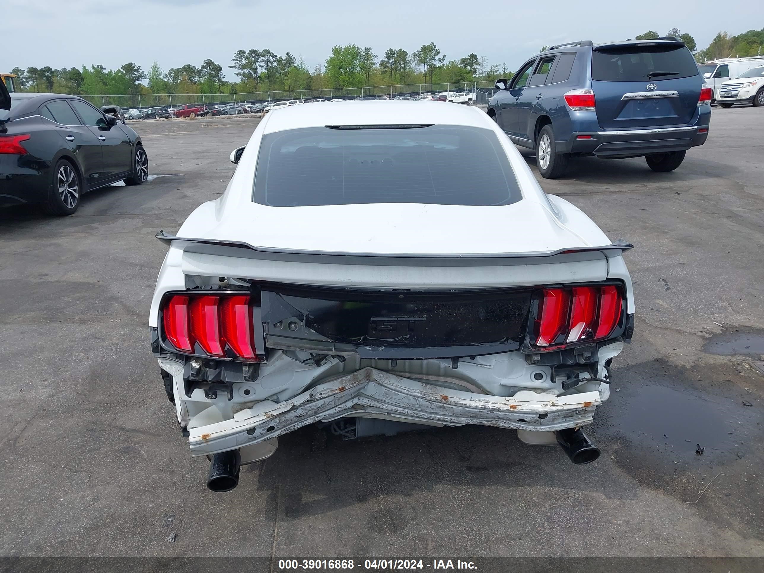 Photo 16 VIN: 1FA6P8CF8H5280615 - FORD MUSTANG 