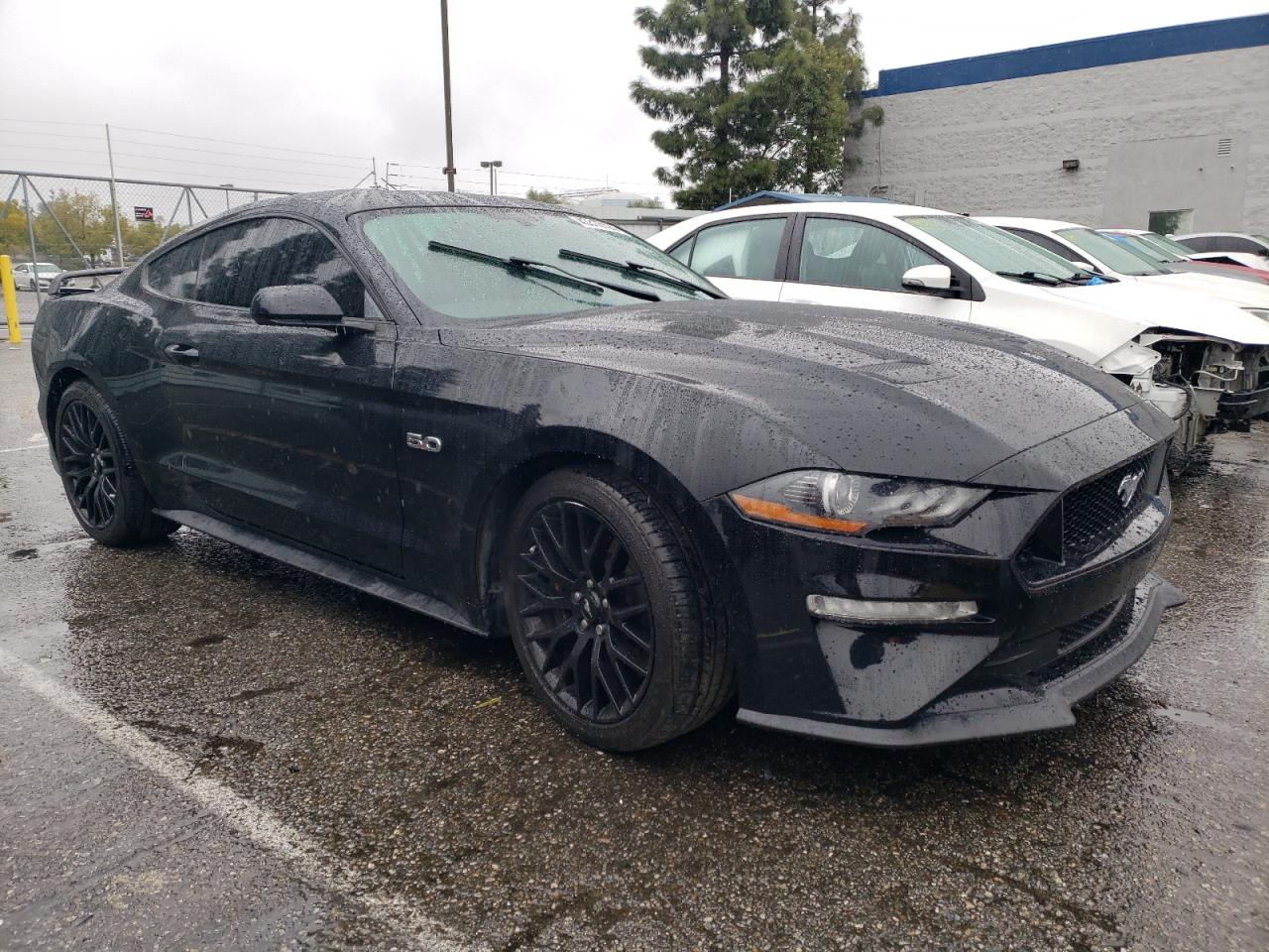 Photo 3 VIN: 1FA6P8CF8K5133752 - FORD MUSTANG 