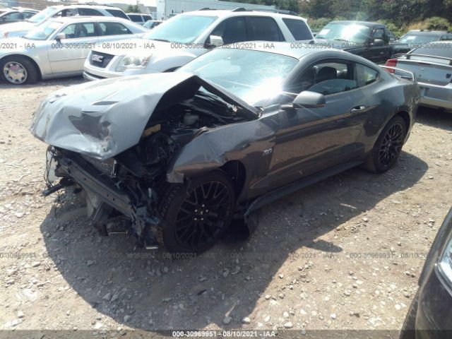 Photo 1 VIN: 1FA6P8CF8M5110846 - FORD MUSTANG 