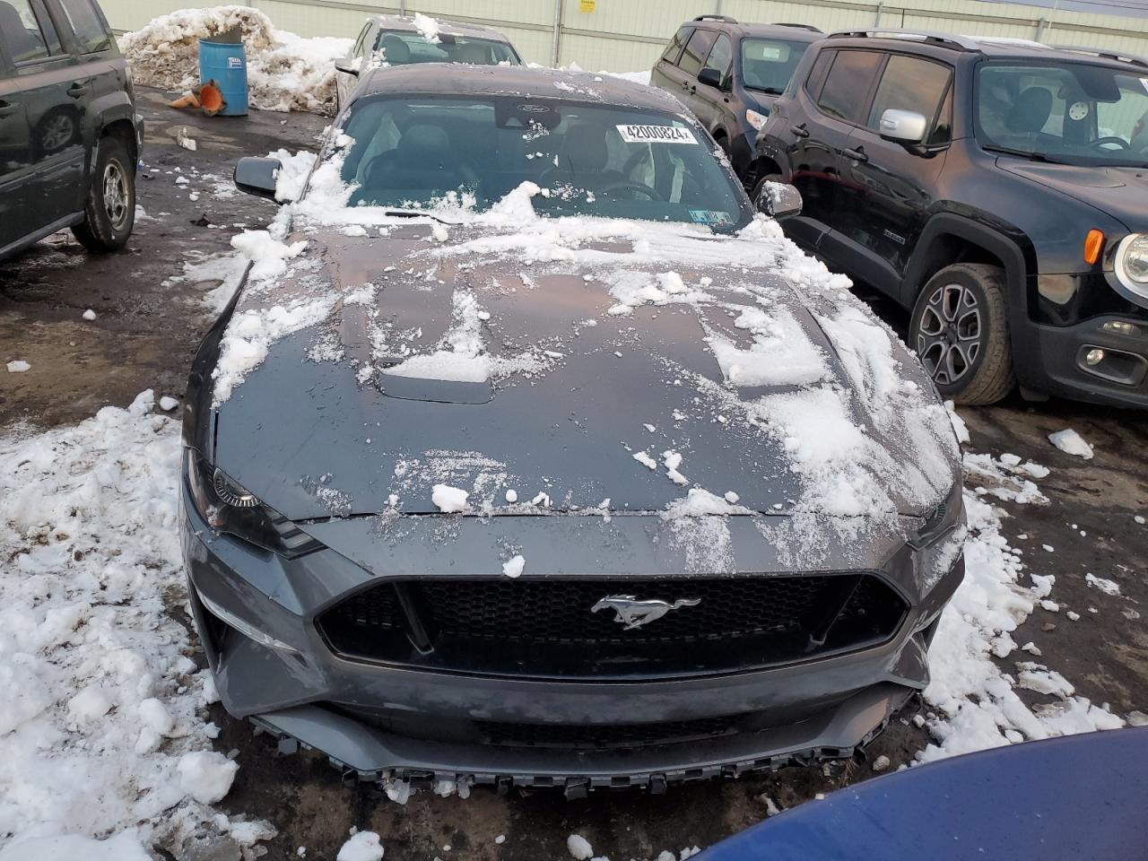 Photo 4 VIN: 1FA6P8CF8M5135617 - FORD MUSTANG 