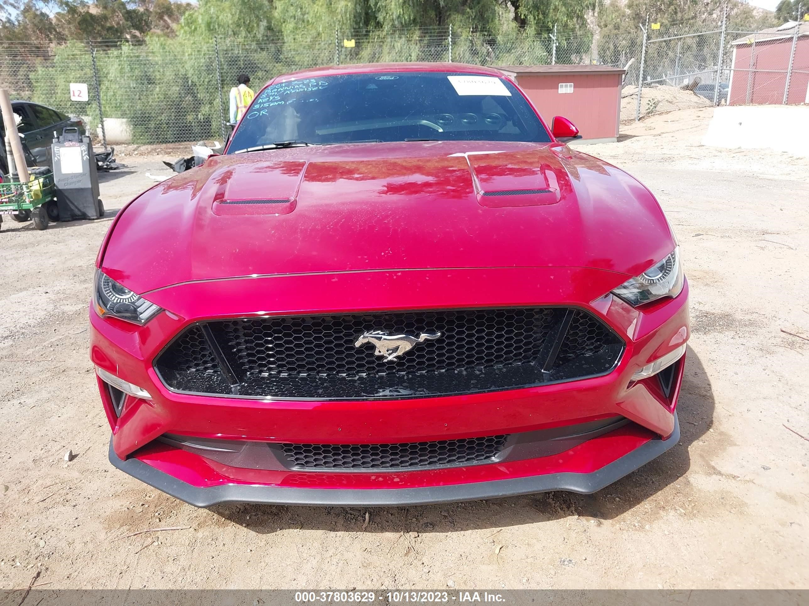 Photo 11 VIN: 1FA6P8CF8P5306726 - FORD MUSTANG 