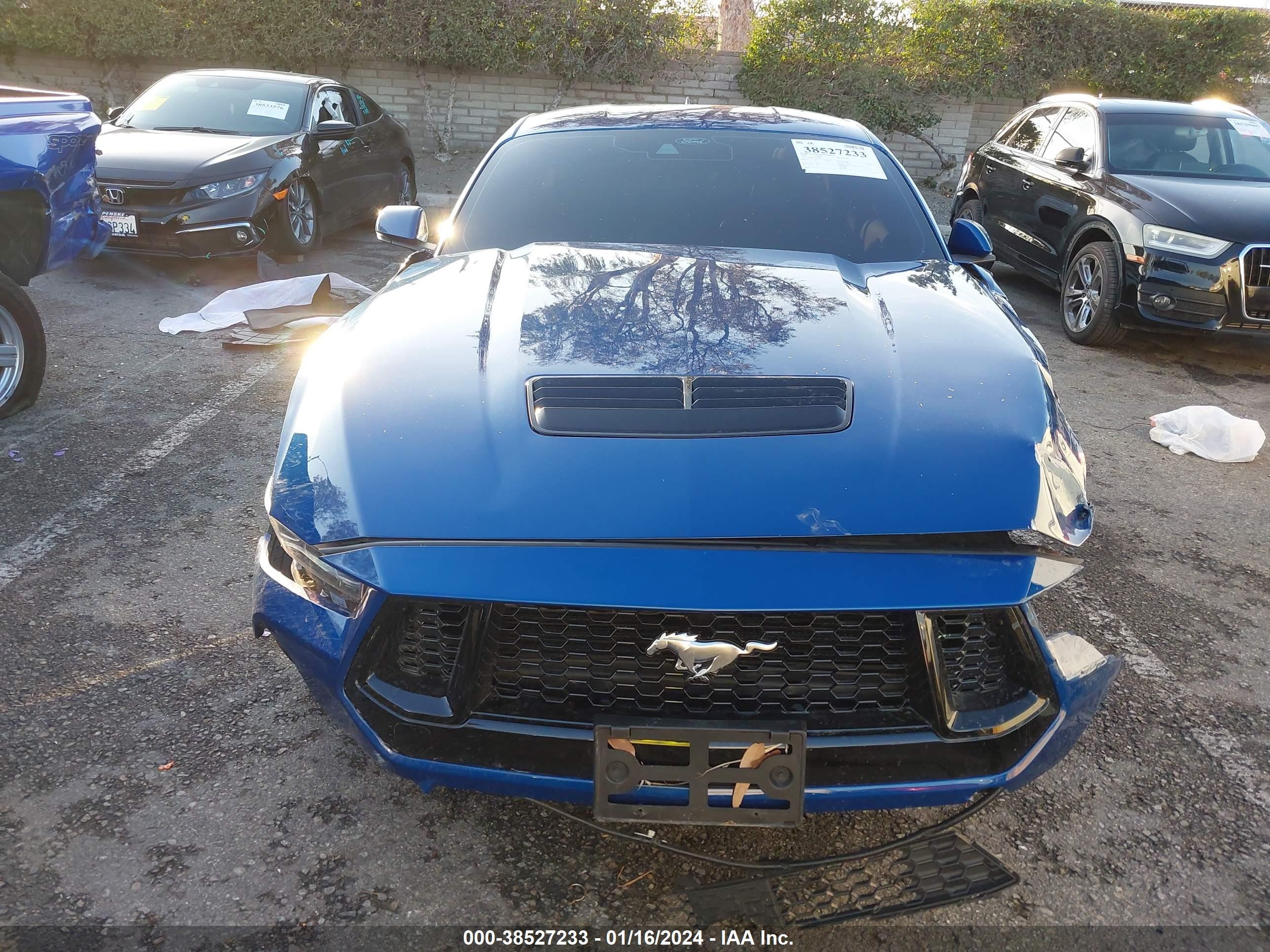 Photo 11 VIN: 1FA6P8CF8R5401175 - FORD MUSTANG 