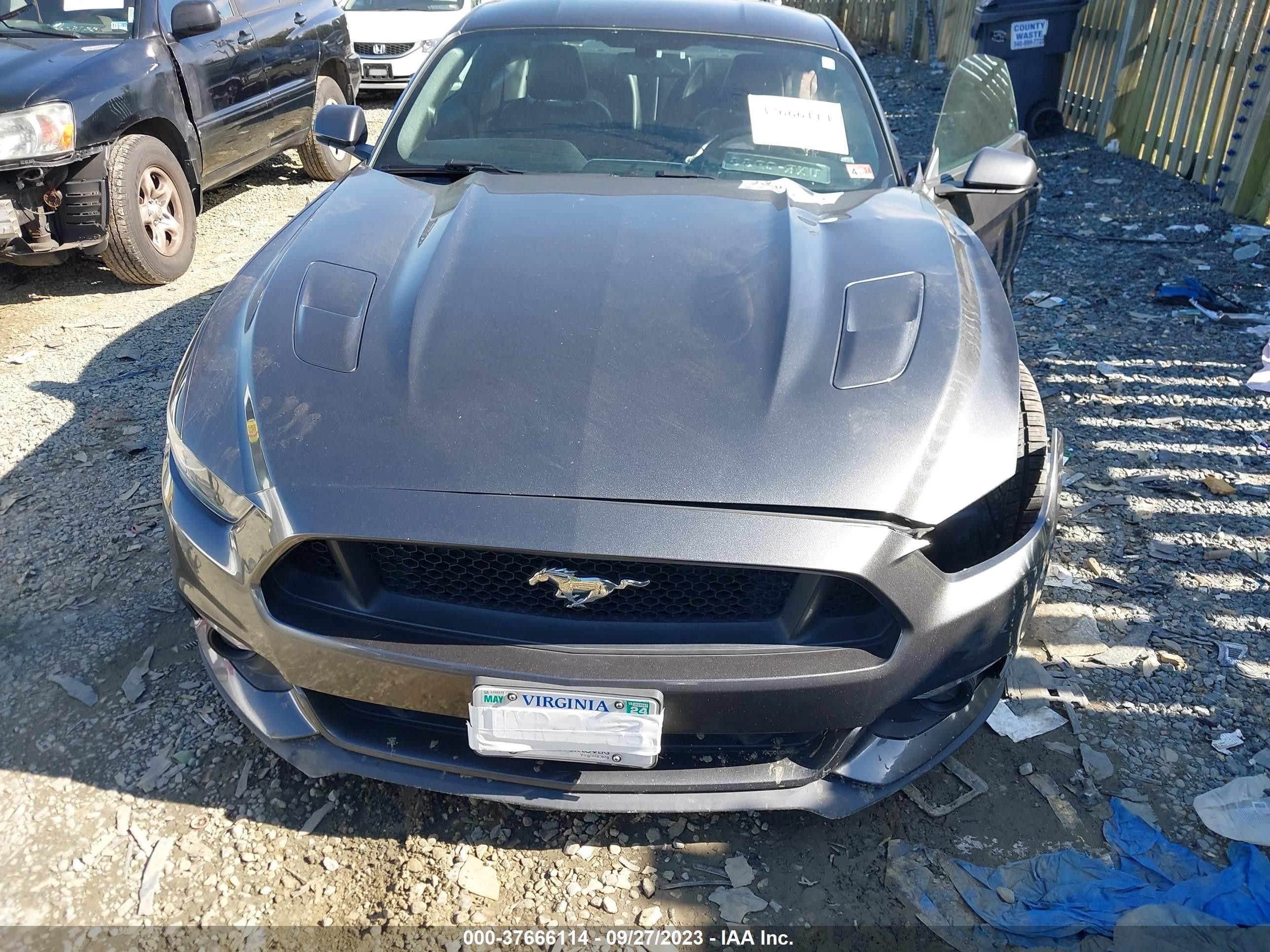 Photo 11 VIN: 1FA6P8CF9F5357098 - FORD MUSTANG 