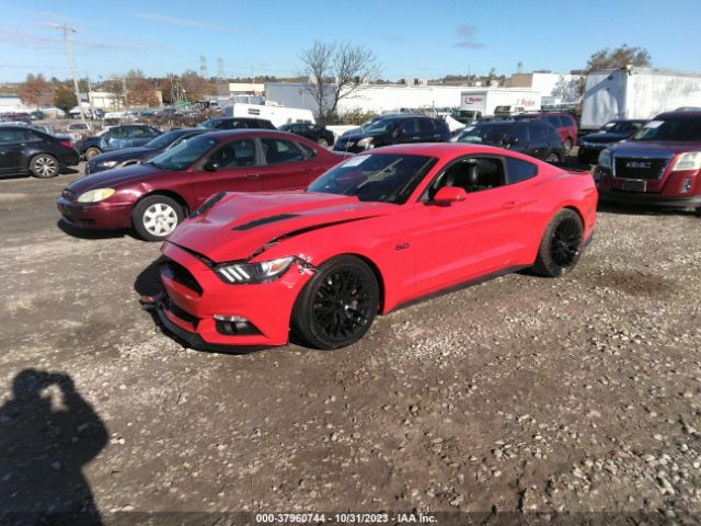 Photo 1 VIN: 1FA6P8CF9H5256243 - FORD MUSTANG 