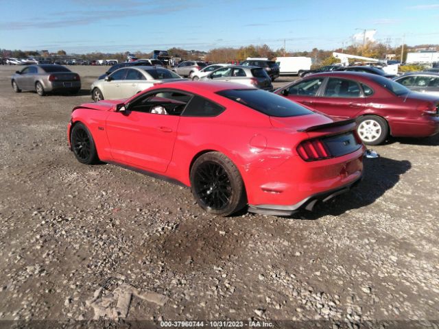 Photo 2 VIN: 1FA6P8CF9H5256243 - FORD MUSTANG 