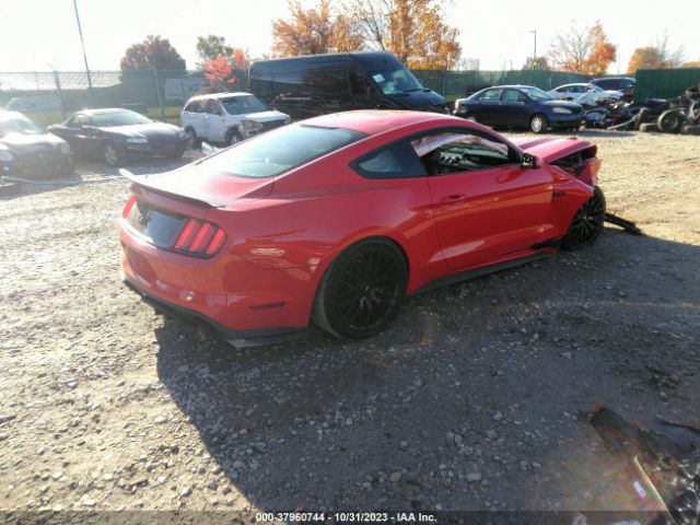 Photo 3 VIN: 1FA6P8CF9H5256243 - FORD MUSTANG 