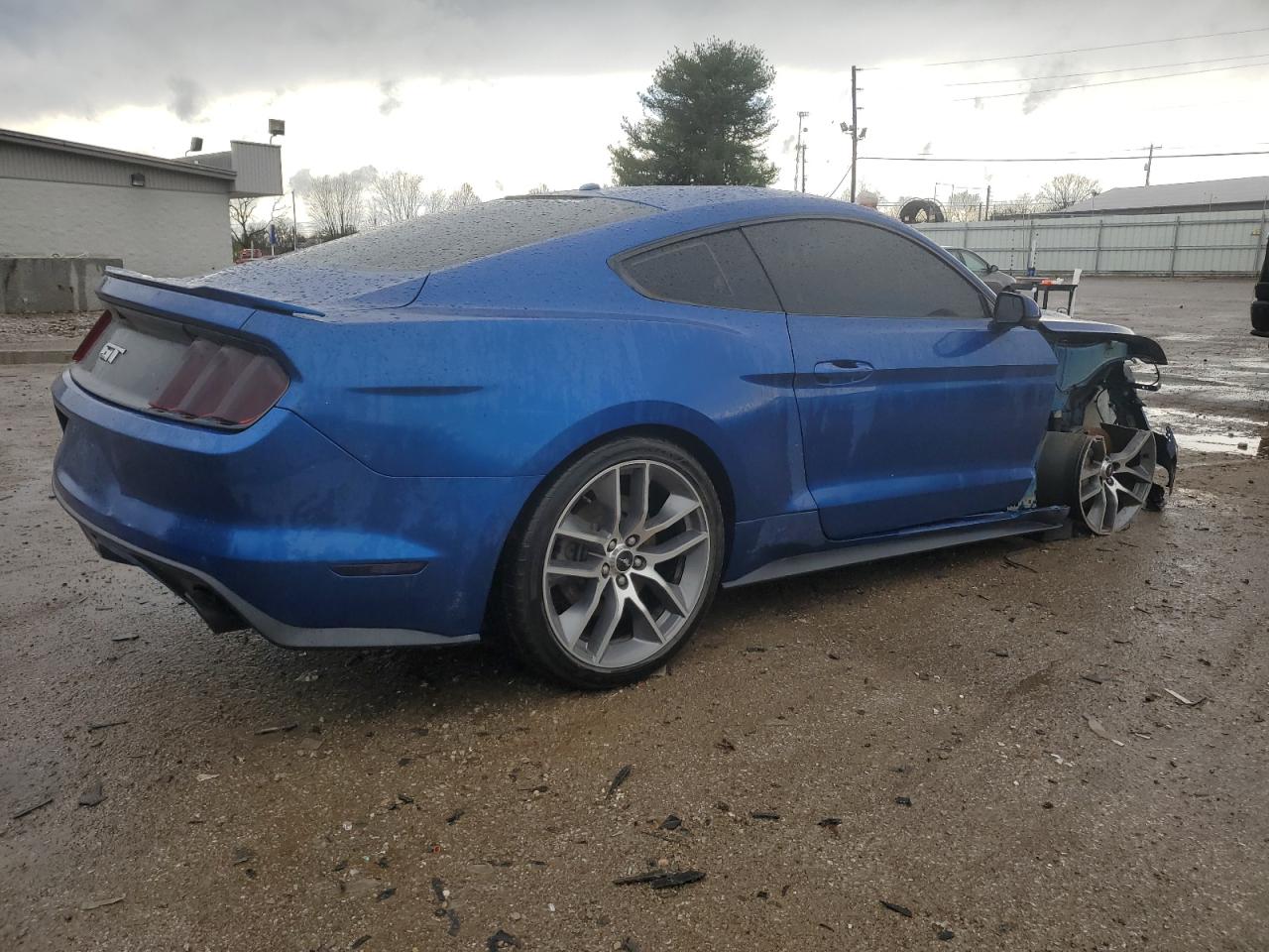 Photo 2 VIN: 1FA6P8CF9H5289470 - FORD MUSTANG 