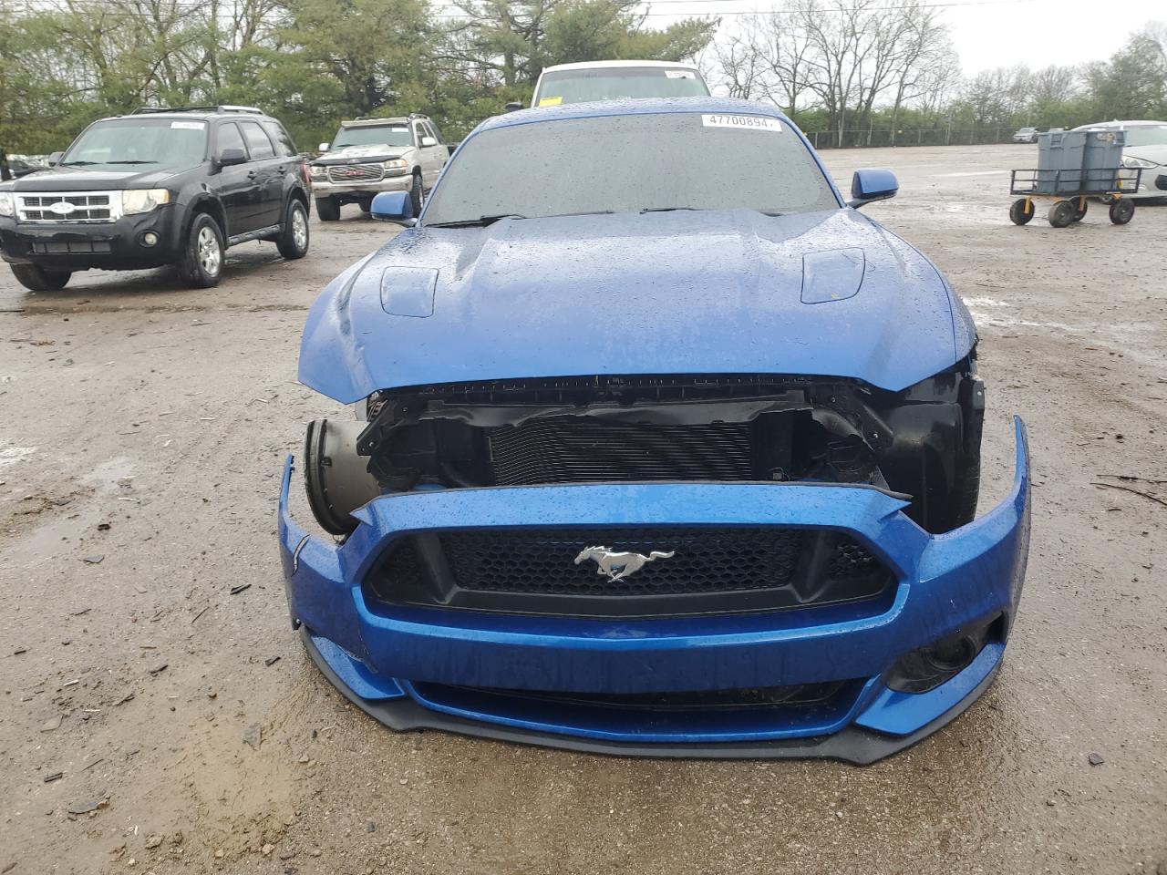 Photo 4 VIN: 1FA6P8CF9H5289470 - FORD MUSTANG 