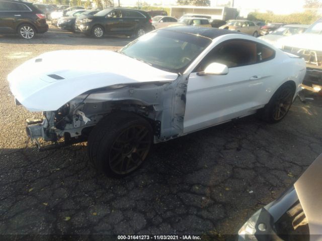 Photo 1 VIN: 1FA6P8CF9L5170293 - FORD MUSTANG 