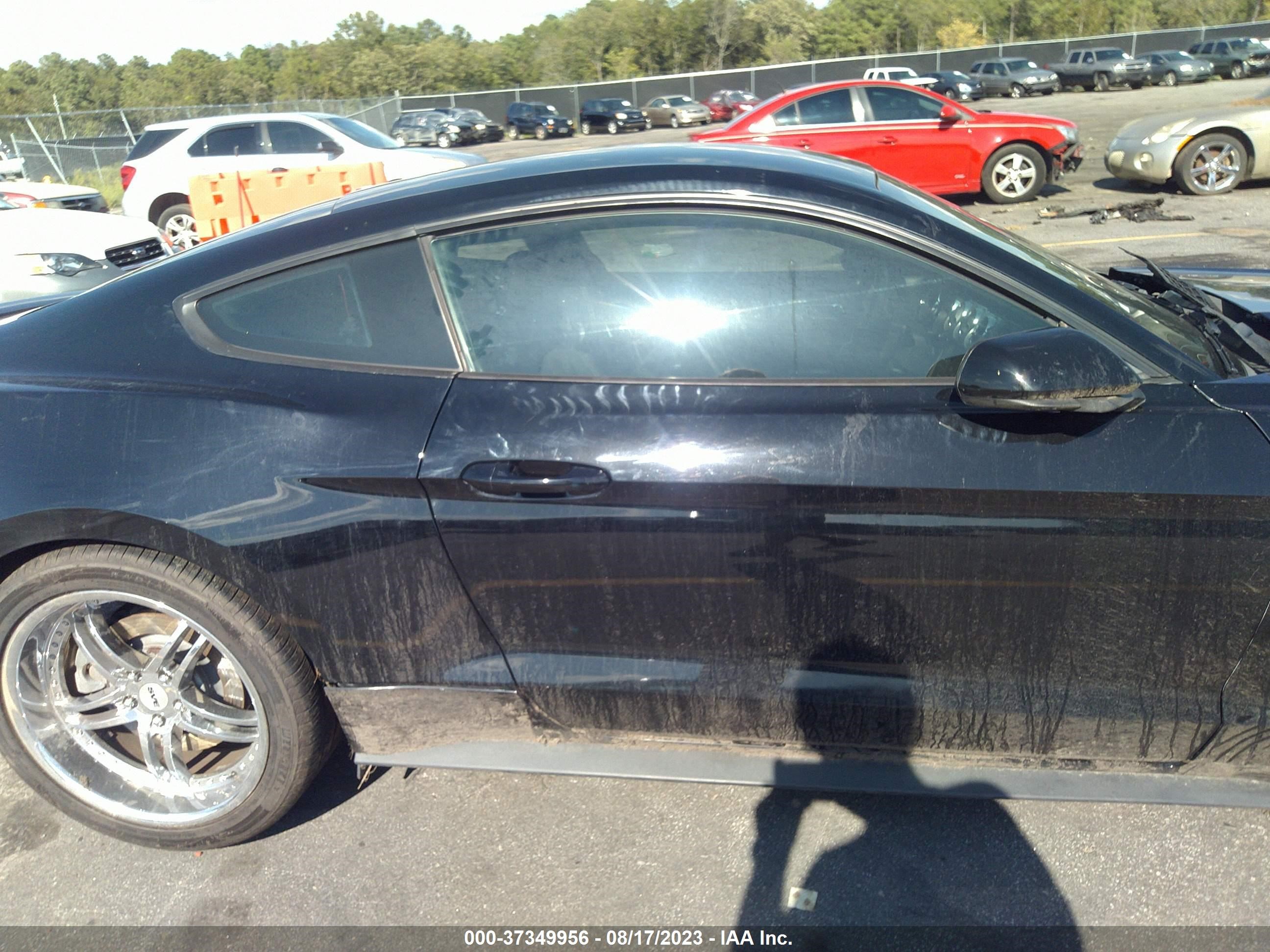 Photo 12 VIN: 1FA6P8CFXF5411427 - FORD MUSTANG 