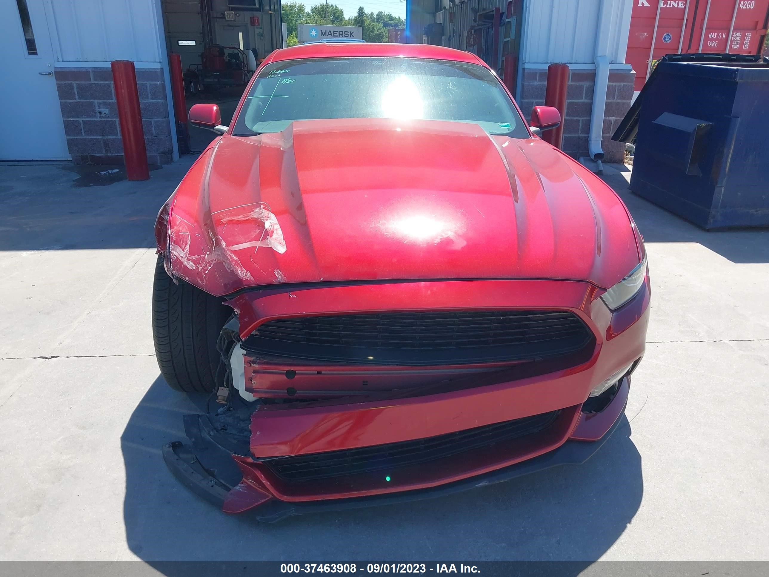 Photo 12 VIN: 1FA6P8CFXF5411685 - FORD MUSTANG 