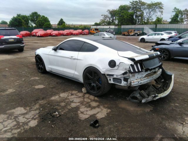 Photo 2 VIN: 1FA6P8CFXH5290045 - FORD MUSTANG 