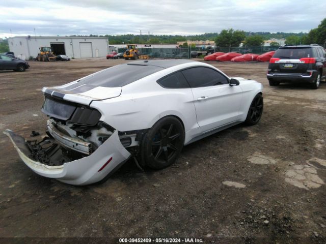 Photo 3 VIN: 1FA6P8CFXH5290045 - FORD MUSTANG 