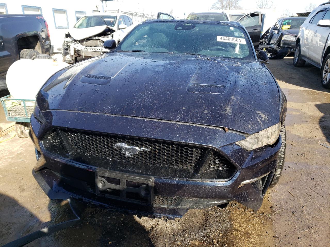 Photo 4 VIN: 1FA6P8CFXM5156209 - FORD MUSTANG 