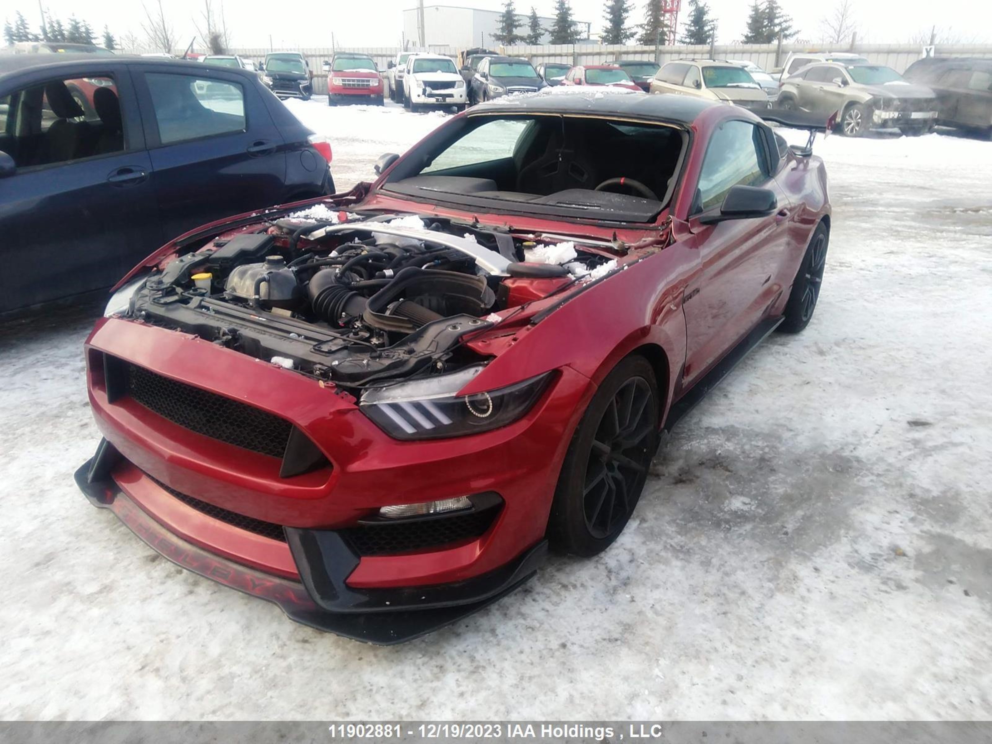 Photo 1 VIN: 1FA6P8JZ6H5520970 - FORD MUSTANG 