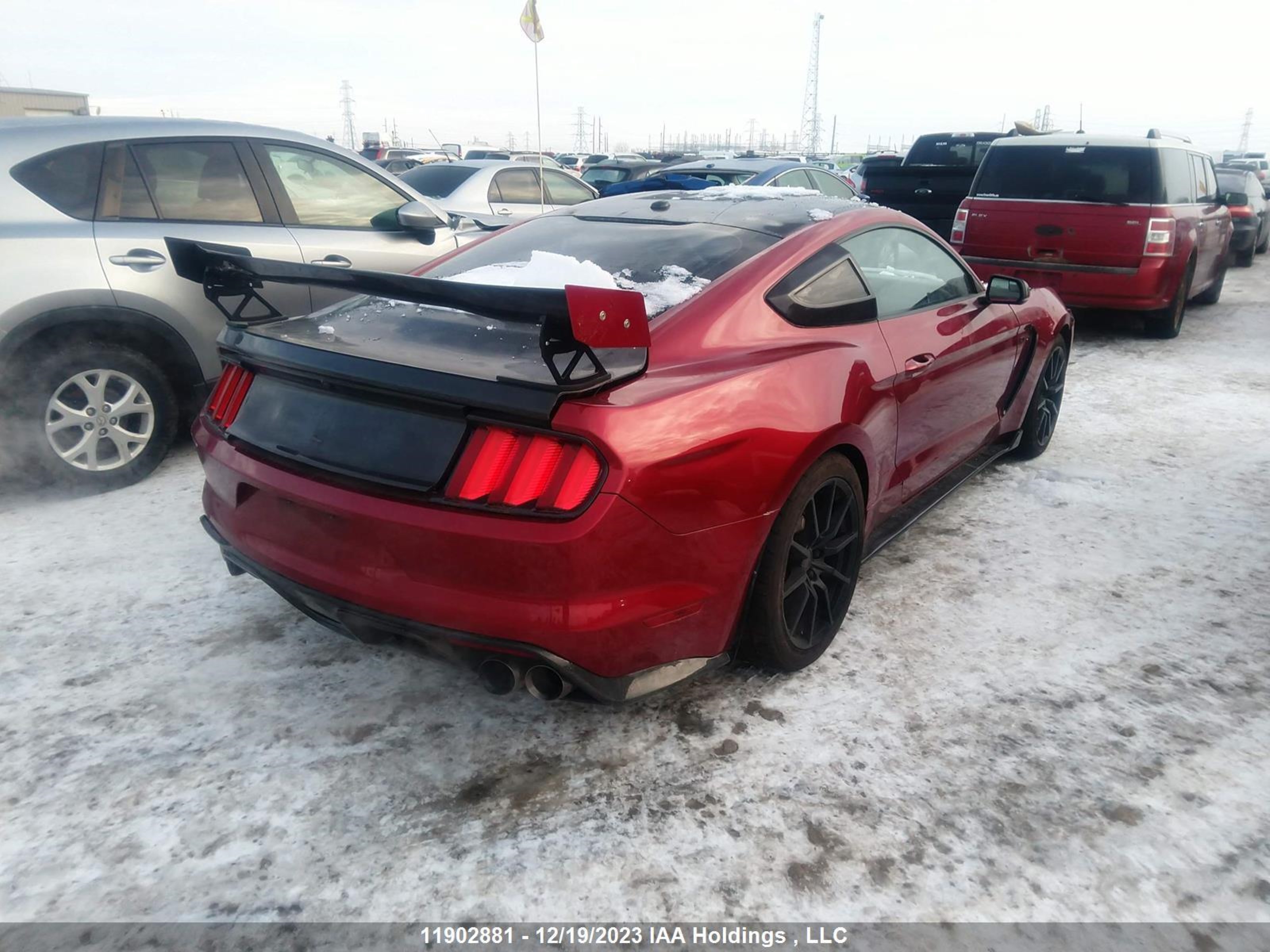 Photo 3 VIN: 1FA6P8JZ6H5520970 - FORD MUSTANG 