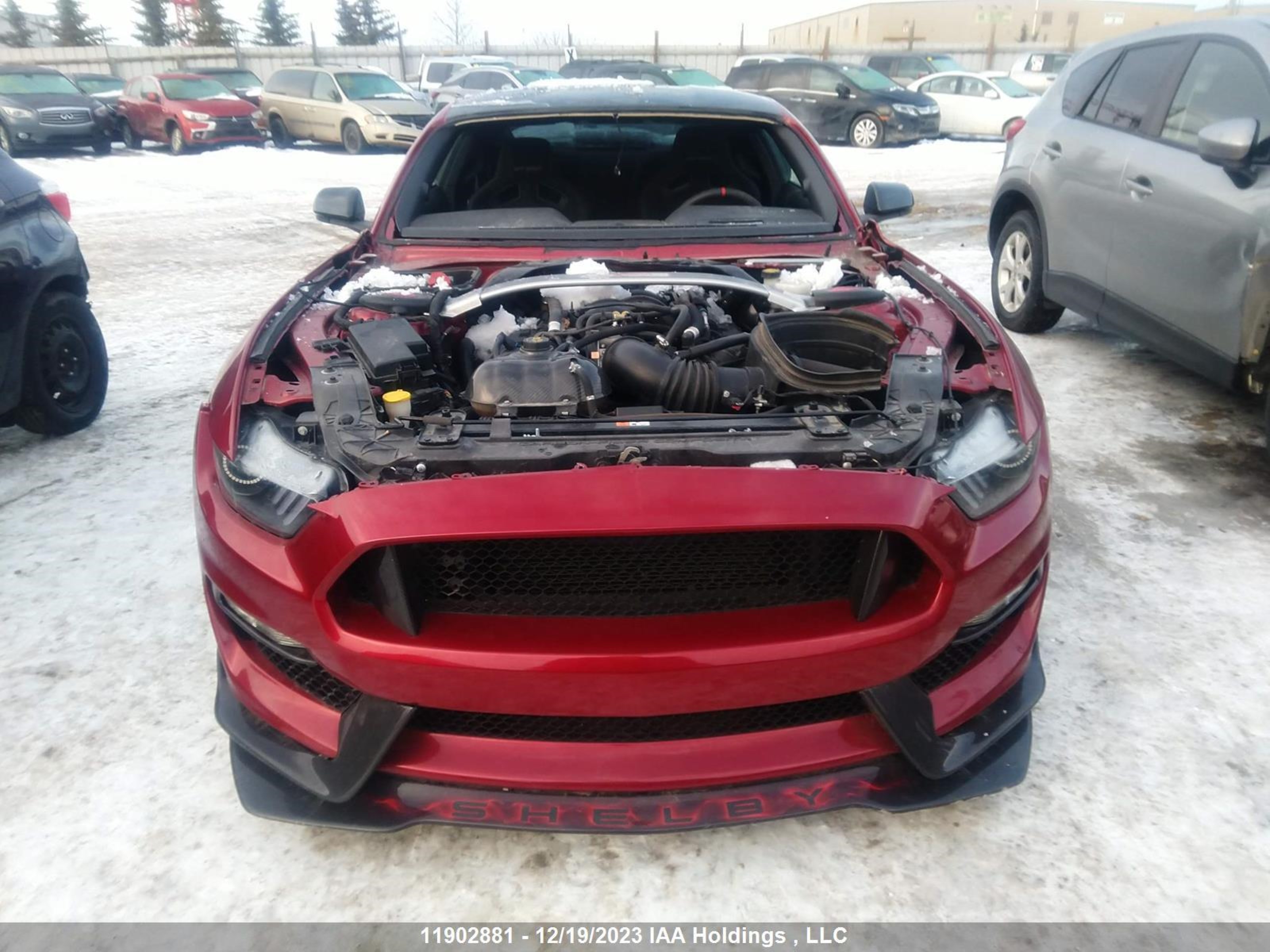 Photo 5 VIN: 1FA6P8JZ6H5520970 - FORD MUSTANG 