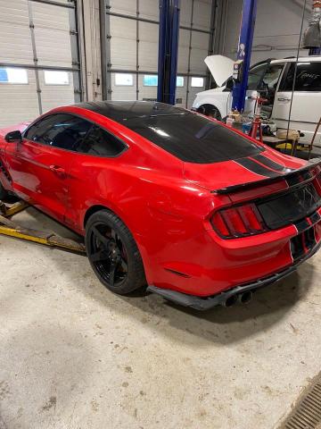 Photo 2 VIN: 1FA6P8JZ9H5521711 - FORD MUSTANG SH 