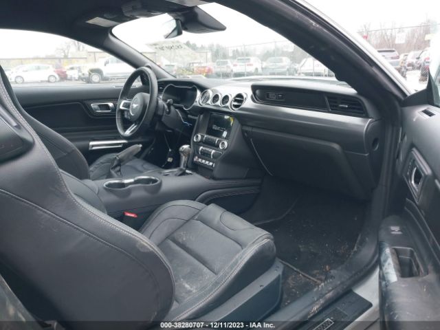 Photo 4 VIN: 1FA6P8R02P5500235 - FORD MUSTANG 