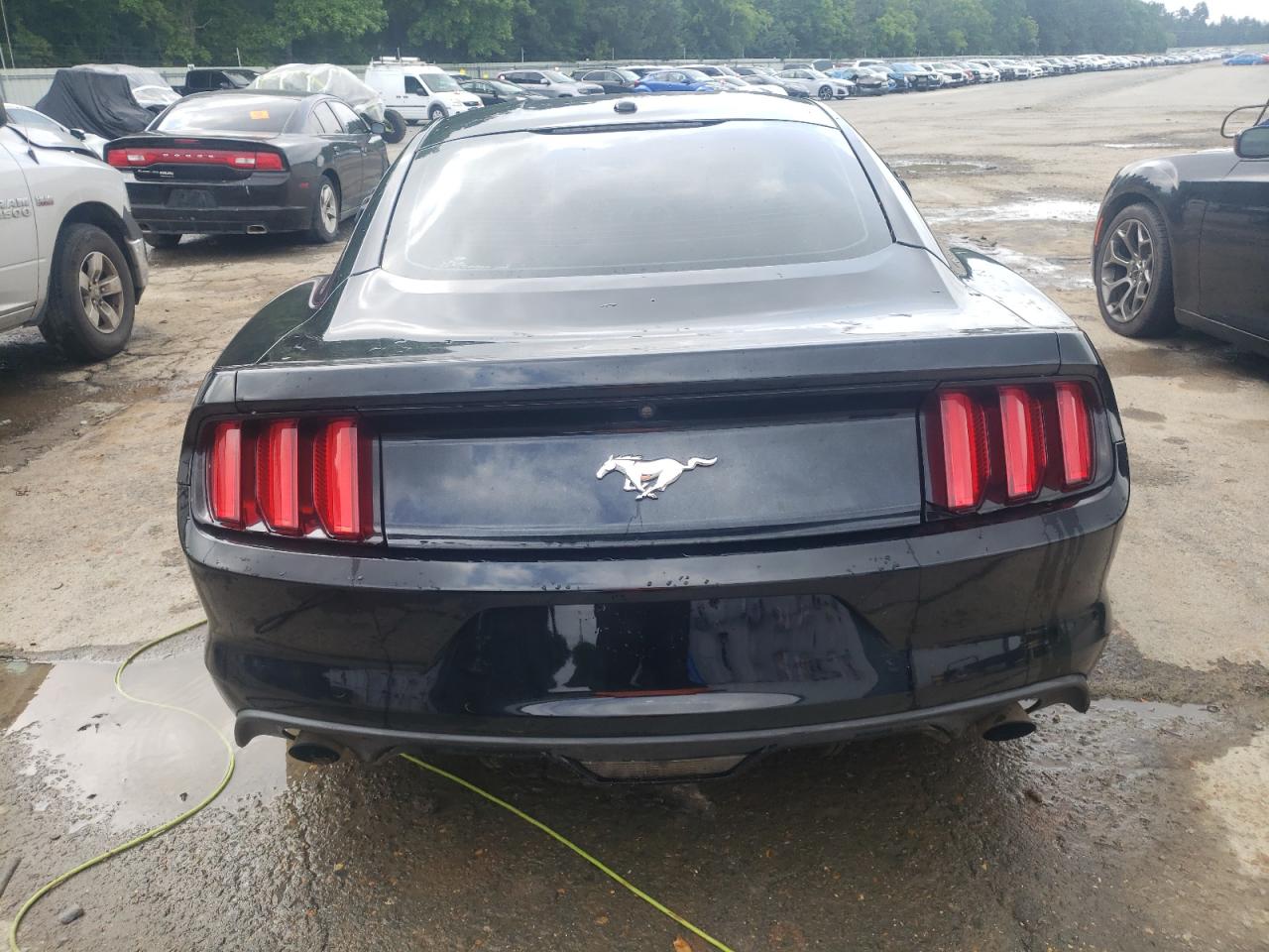 Photo 5 VIN: 1FA6P8TH0F5300872 - FORD MUSTANG 