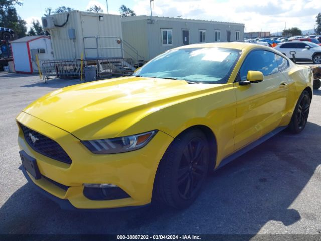 Photo 1 VIN: 1FA6P8TH0F5311418 - FORD MUSTANG 