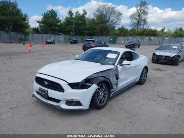 Photo 1 VIN: 1FA6P8TH0F5322354 - FORD MUSTANG 