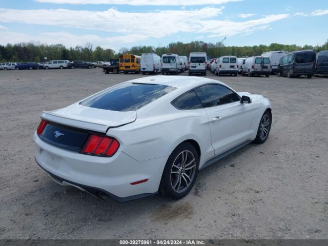 Photo 3 VIN: 1FA6P8TH0F5322354 - FORD MUSTANG 