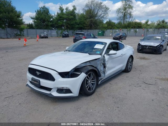 Photo 5 VIN: 1FA6P8TH0F5322354 - FORD MUSTANG 