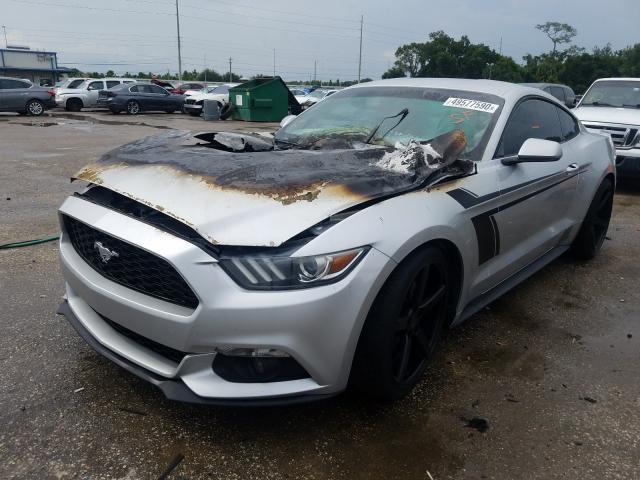 Photo 1 VIN: 1FA6P8TH0F5362109 - FORD MUSTANG 