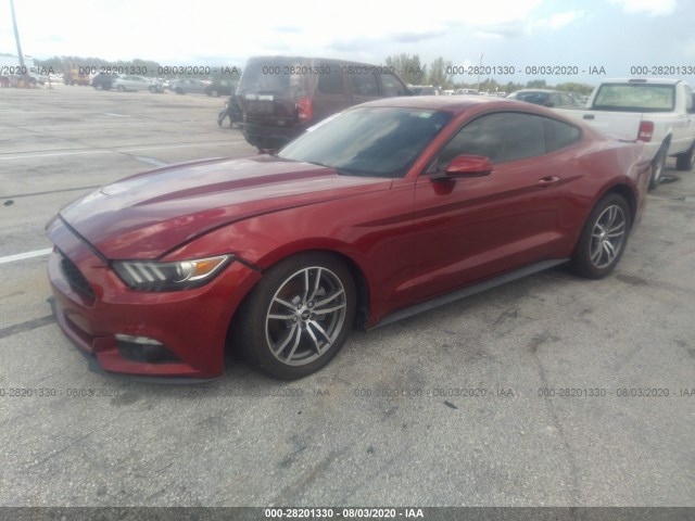 Photo 1 VIN: 1FA6P8TH0F5380268 - FORD MUSTANG 