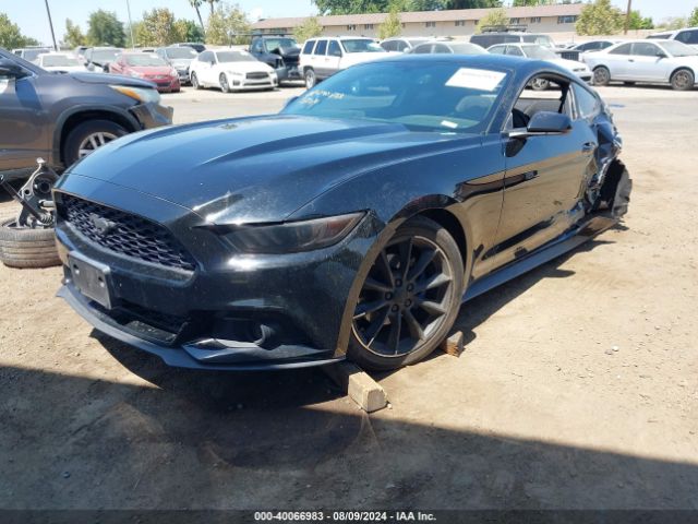 Photo 1 VIN: 1FA6P8TH0F5396356 - FORD MUSTANG 