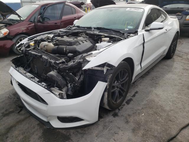 Photo 1 VIN: 1FA6P8TH0F5434197 - FORD MUSTANG 