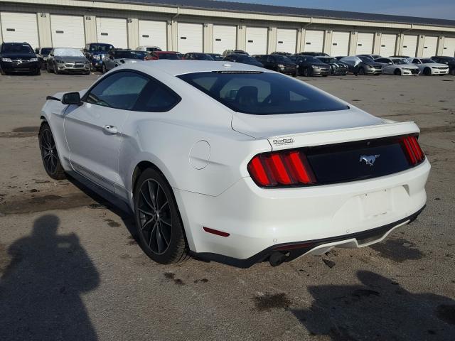 Photo 2 VIN: 1FA6P8TH0G5201860 - FORD MUSTANG 