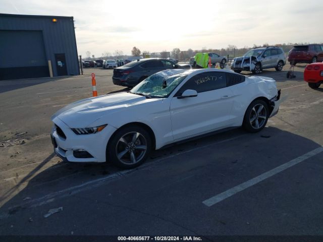 Photo 1 VIN: 1FA6P8TH0G5205715 - FORD MUSTANG 