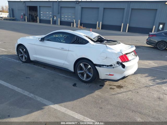 Photo 2 VIN: 1FA6P8TH0G5205715 - FORD MUSTANG 