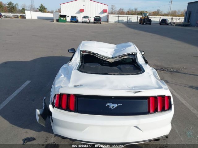 Photo 5 VIN: 1FA6P8TH0G5205715 - FORD MUSTANG 