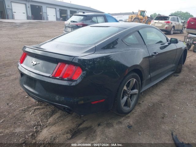 Photo 3 VIN: 1FA6P8TH0G5219534 - FORD MUSTANG 