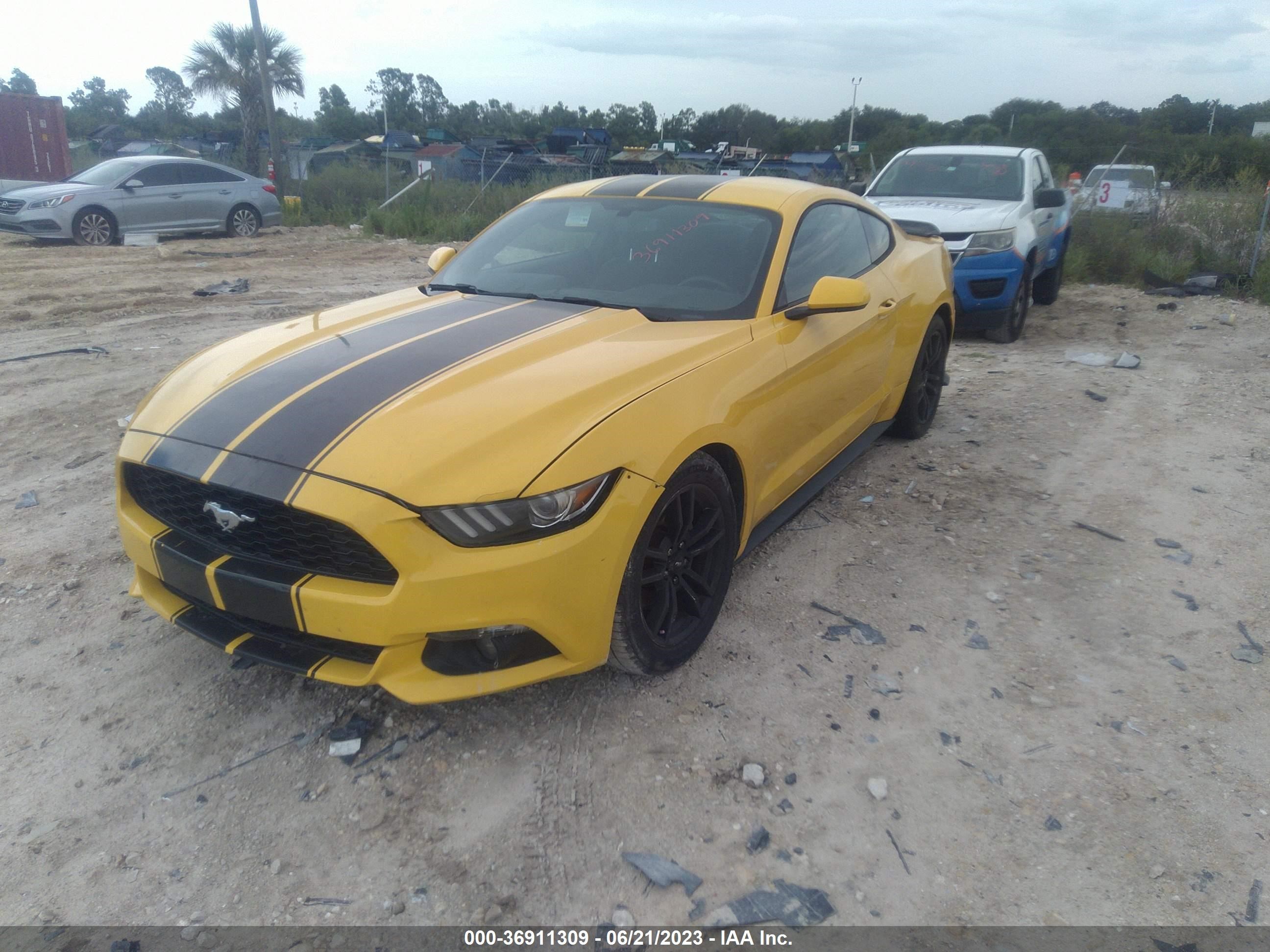 Photo 1 VIN: 1FA6P8TH0G5252002 - FORD MUSTANG 